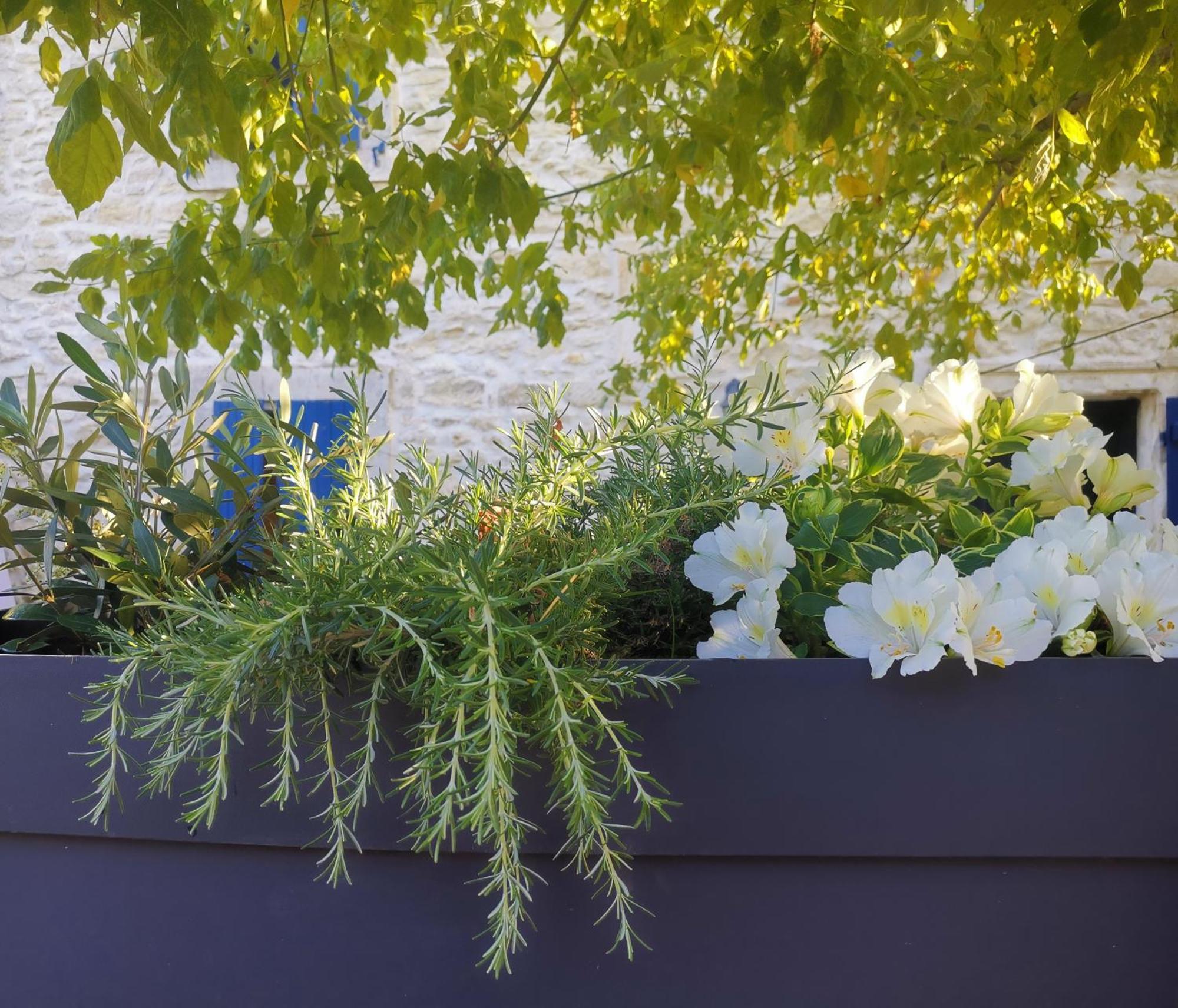 Namaste Home, Votre Havre De Paix A St Remy ! Parking Wifi Inclus Saint-Rémy-de-Provence 外观 照片