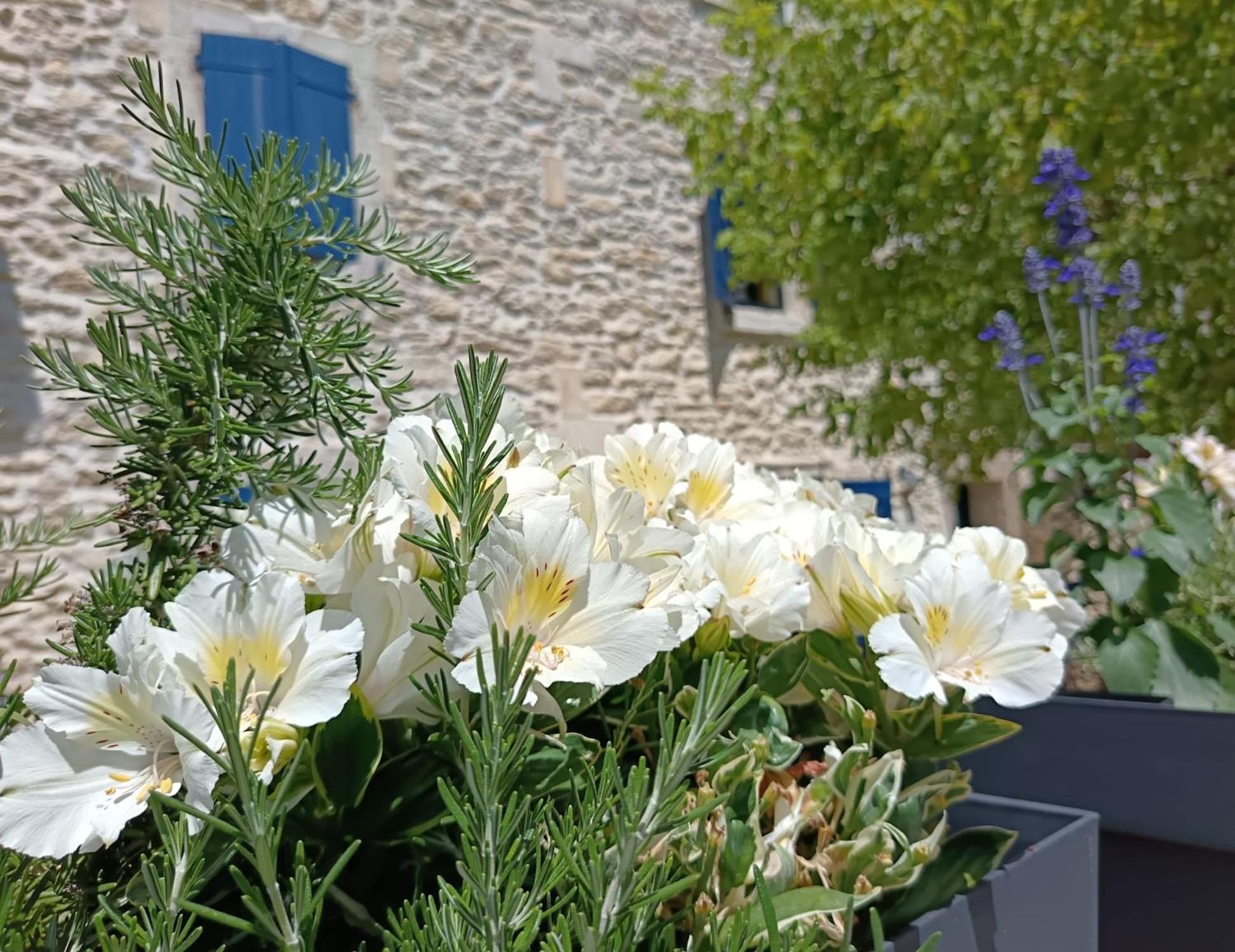 Namaste Home, Votre Havre De Paix A St Remy ! Parking Wifi Inclus Saint-Rémy-de-Provence 外观 照片
